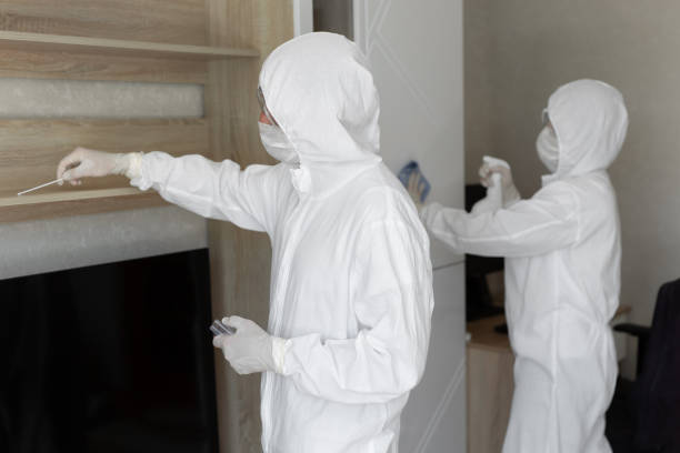 Certified Mold Remediation Professionals You Can Trust